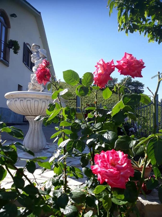 Ca Du Ruja Guest House Strevi Bagian luar foto
